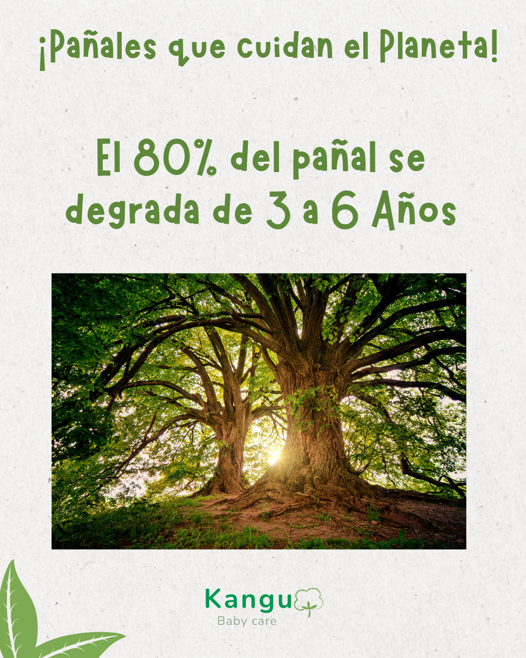 Premium - Etapa 2 Talla S (3-6 kg) (20 Unidades)